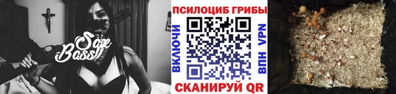 Купить  Льгов  Псилоцибиновые грибы Psilocybe 